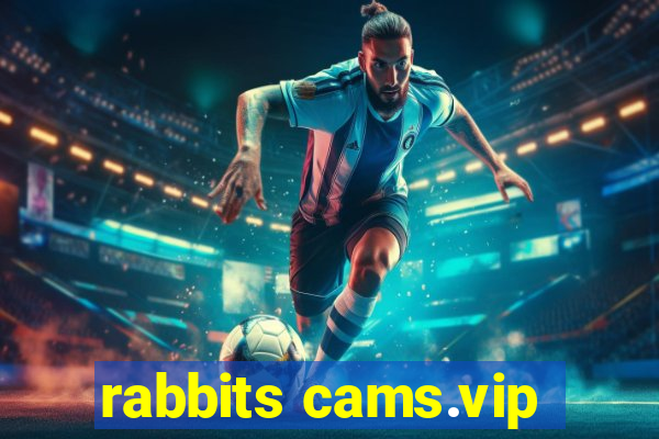 rabbits cams.vip